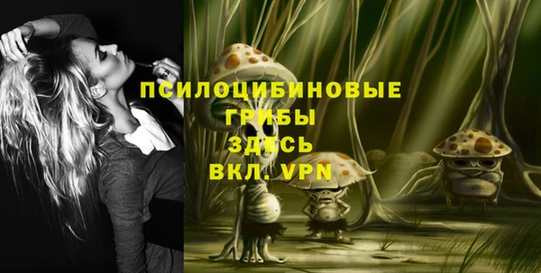 прущая мука Арсеньев