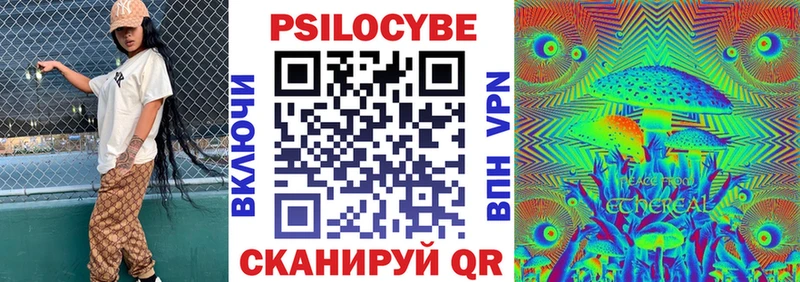 Галлюциногенные грибы Psilocybe  где можно купить   Моздок 